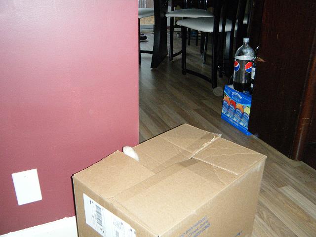 christmas2009 113.jpg